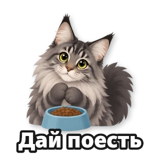 Пример стикера, сделанного из фотографии