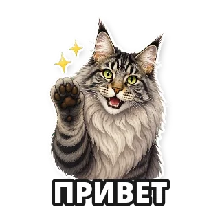 Создайте стикерпак со своим котом: стикер 1