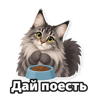 Восемь стикеров, нарисованных одним листом: кот на всех один и тот же: стикер 2