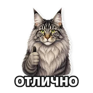 Создайте стикерпак со своим котом: стикер 4