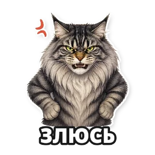 Создайте стикерпак со своим котом: стикер 6
