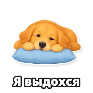 Создайте стикерпак со своей собакой: стикер 7