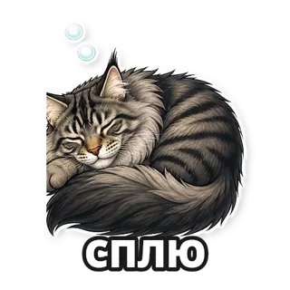 Мультик: мейн-кун: стикер 7