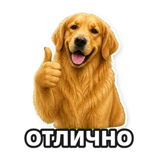 Фото: ретривер: стикер 4
