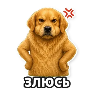Фото: ретривер: стикер 6