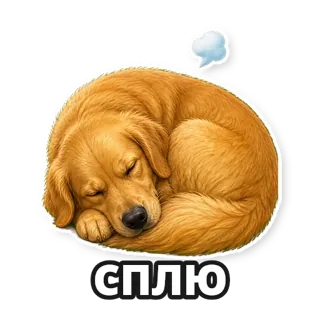Фото: ретривер: стикер 7